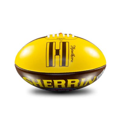 Hawthorn Hawks Team Logo - Size 2